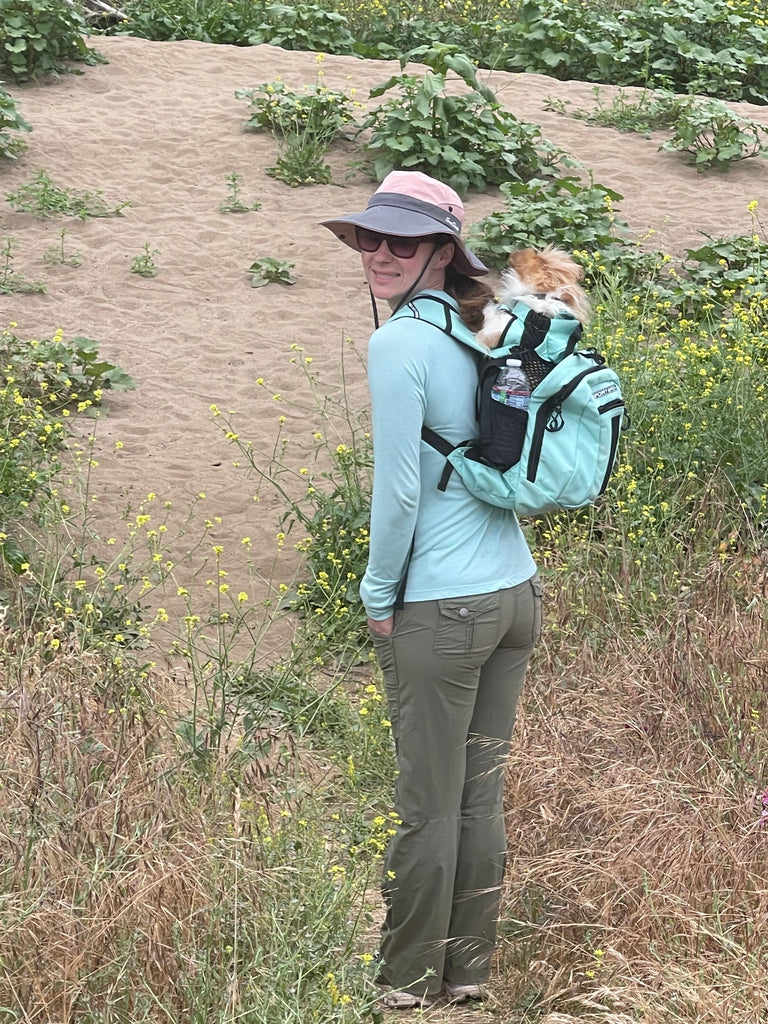 small chihuahua shih tzu being carried in dog backpack on hike