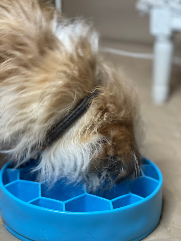 Honeycomb Design Enrichment Slow Feeder Bowl for Dogs